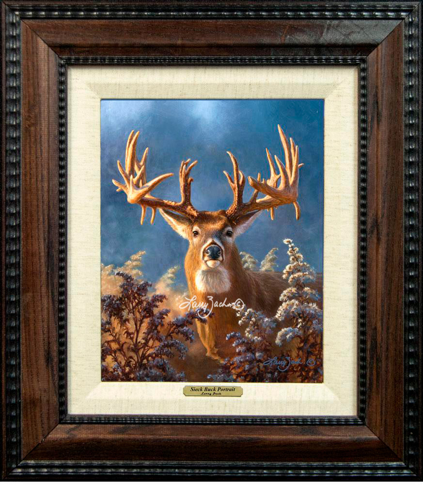 Framing 2A