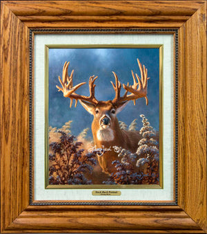 Framing 1A