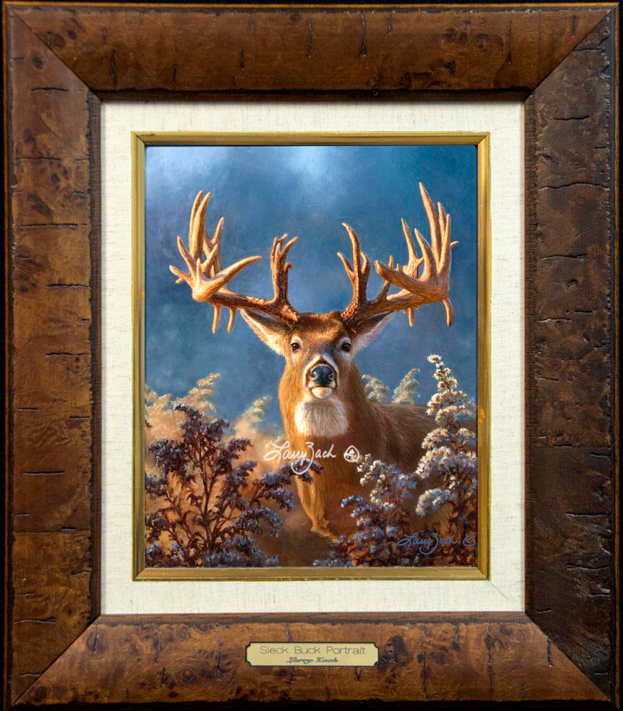 Framing RR