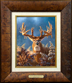 Framing RR