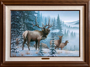 Framed Secondary Market Limited Edition AP Canvas 5/25