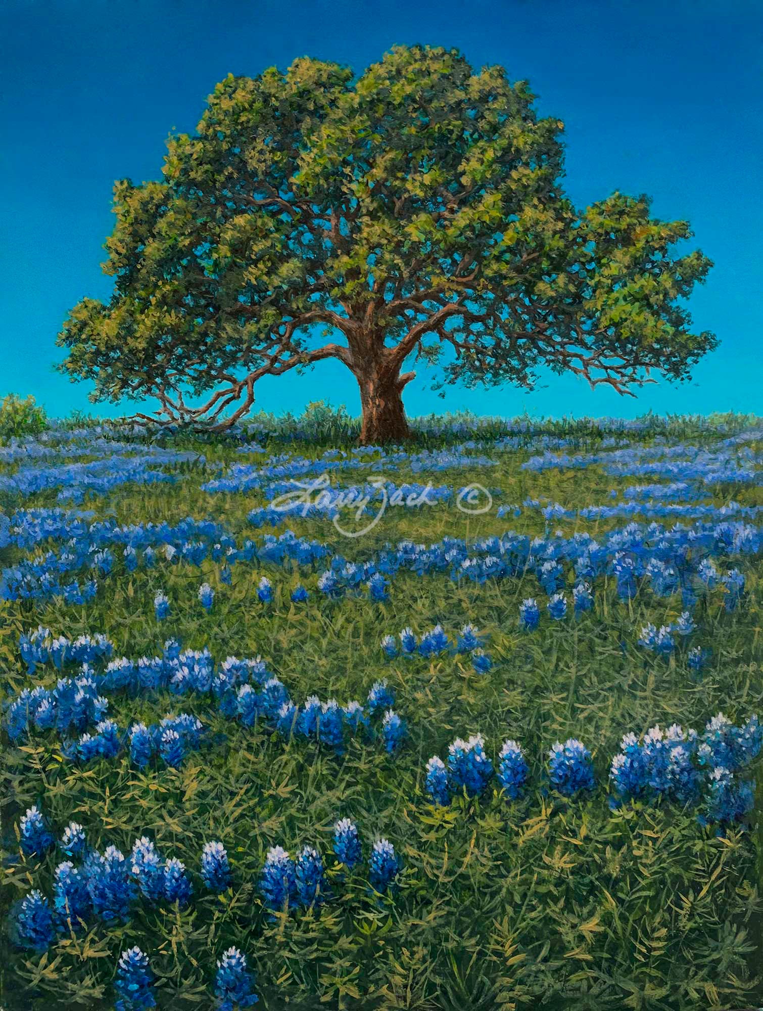 Texas Blue Bonnet by Larry Zach