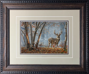 Open Edition Decorator Paper Framing Tan Combo