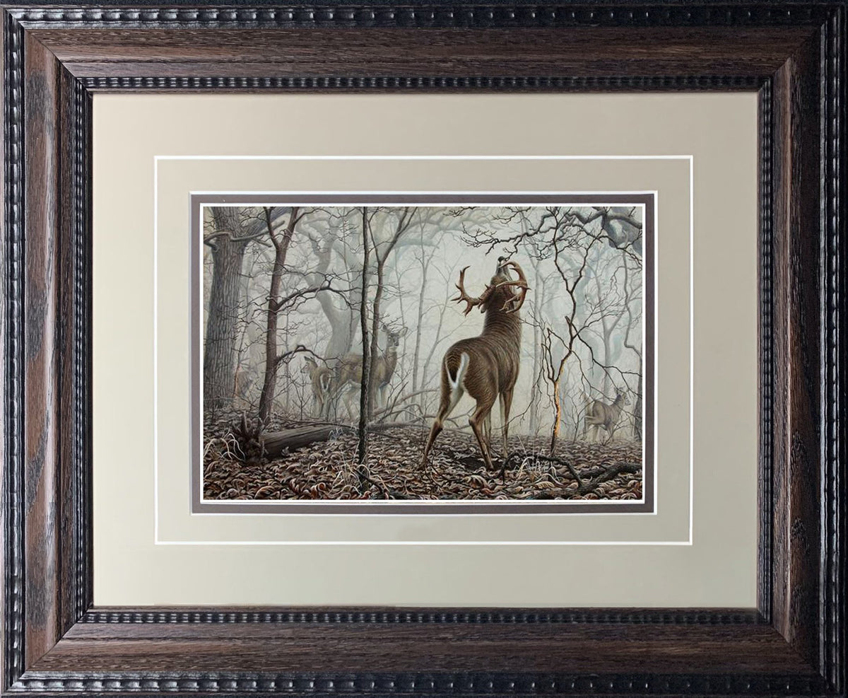 November Frost Whitetail Larry Zach Wildlife Art