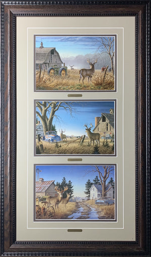 Open Edition Decorator Paper Framing Tan Combo