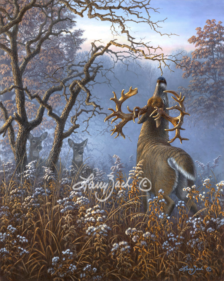 Deer paintings by Larry Zach – Larry Zach Wildlife Art
