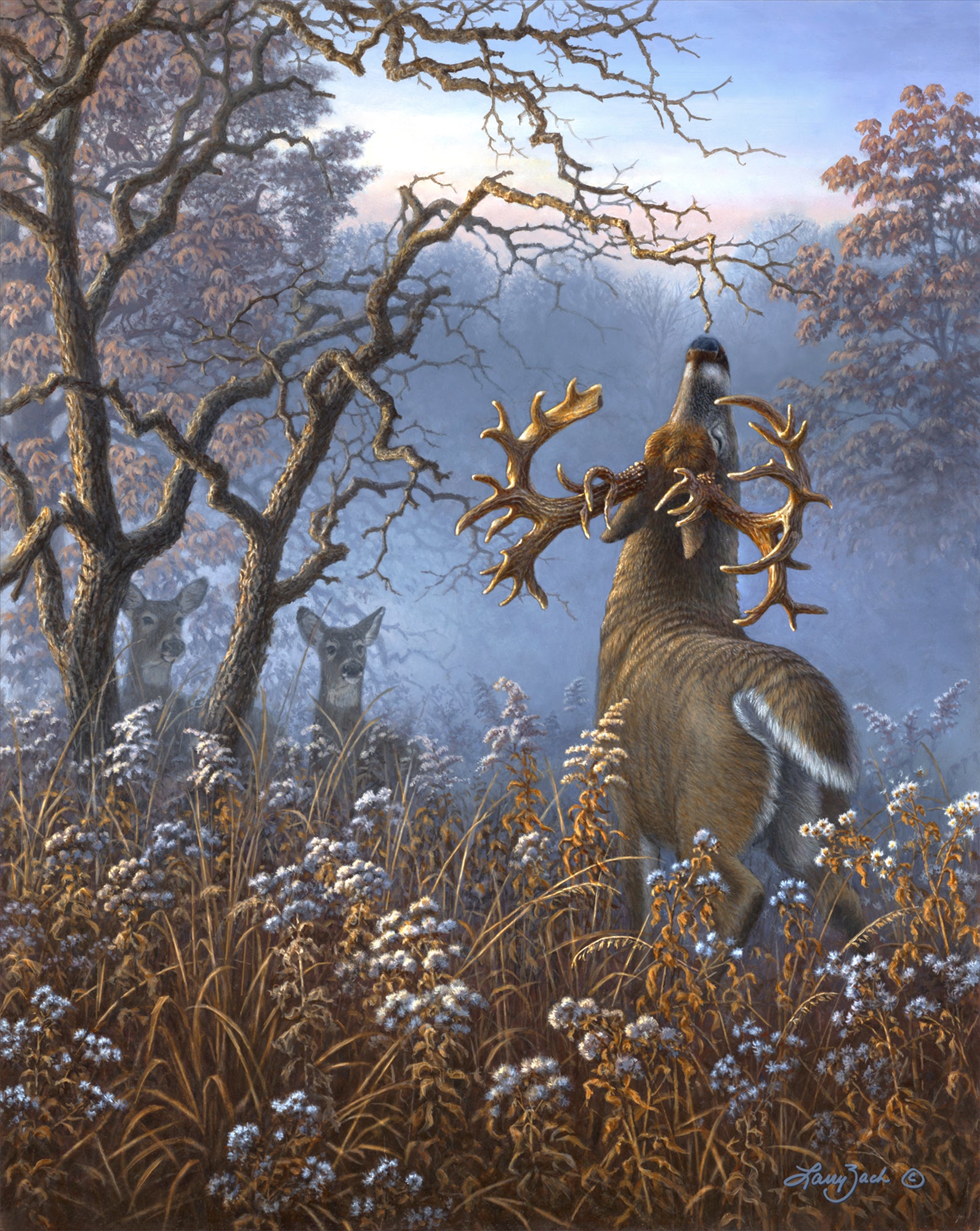 Trophy Bucks I – The Deric Sieck Buck