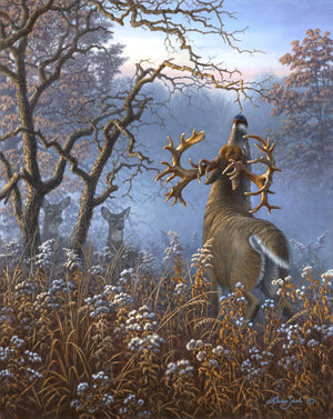 Trophy Bucks I – The Deric Sieck Buck