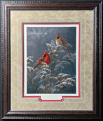 Limited Edition Classic Paper - Framing 3D