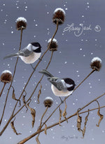 Winter Pair - Black Capped Chickadees