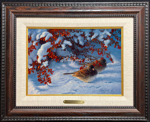 Limited Edition Master Canvas Framing G2