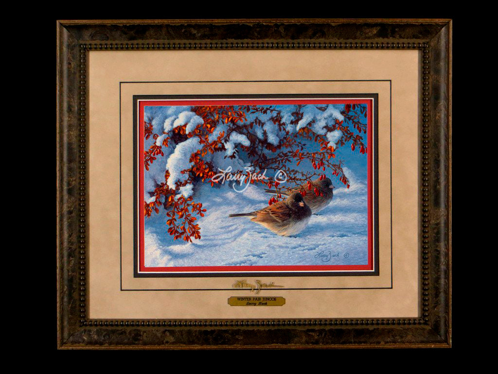 Limited Edition Classic Paper Framing 31A