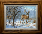 Open Edition Encore/Decorator Canvas Framing 1A