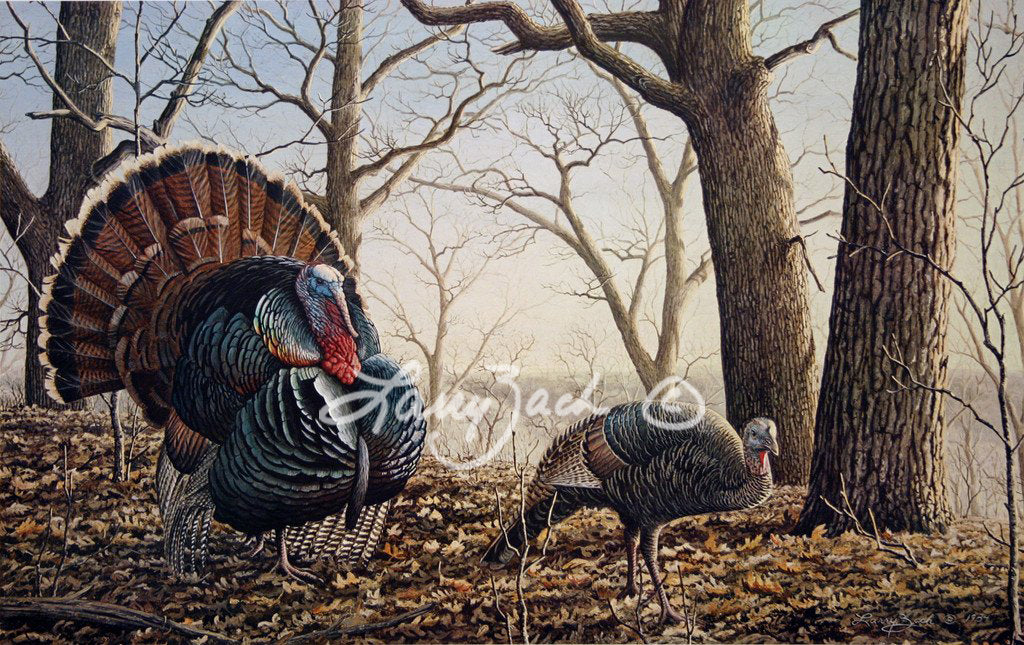 April Sunrise Wild Turkey Larry Zach Wildlife Art