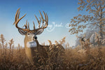 Big City Bucks