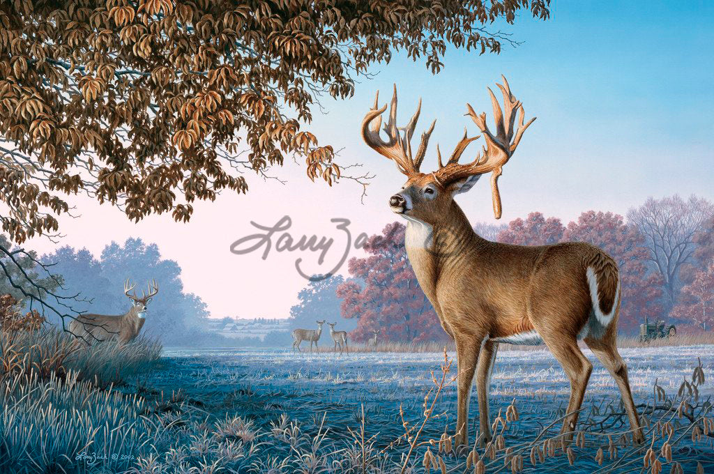 Big Country Bucks