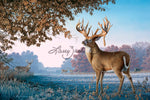 Big Country Bucks