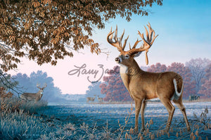 Big Country Bucks