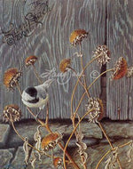 Larry Zach Black Capped Chickadee