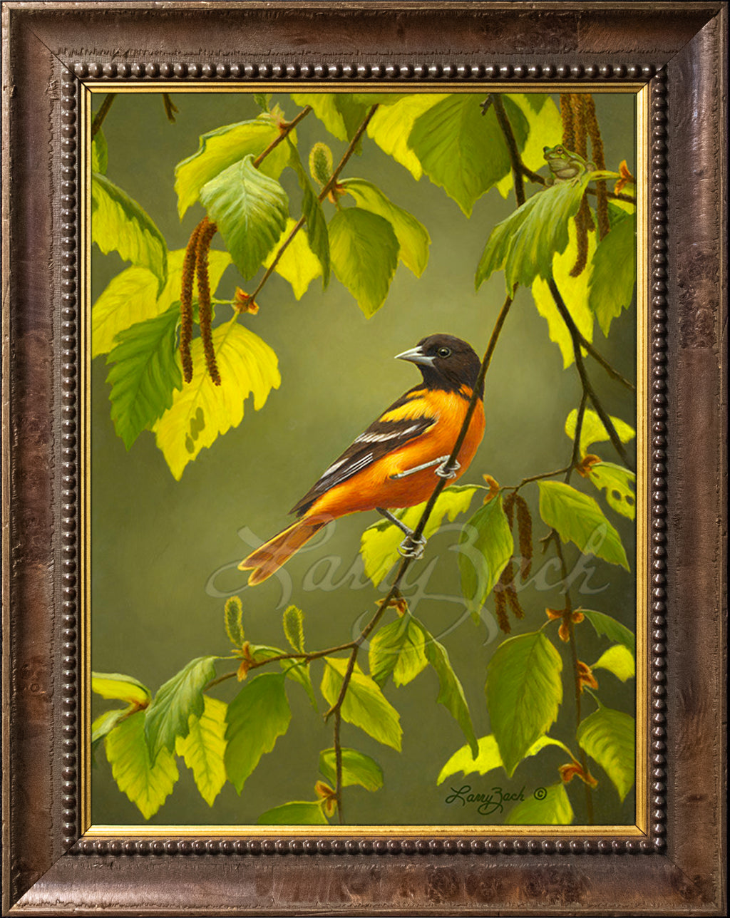 Baltimore Oriole on River Birch Original