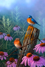 Bluebirds and Purple Coneflower