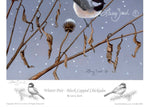 Winter Pair - Black Capped Chickadees