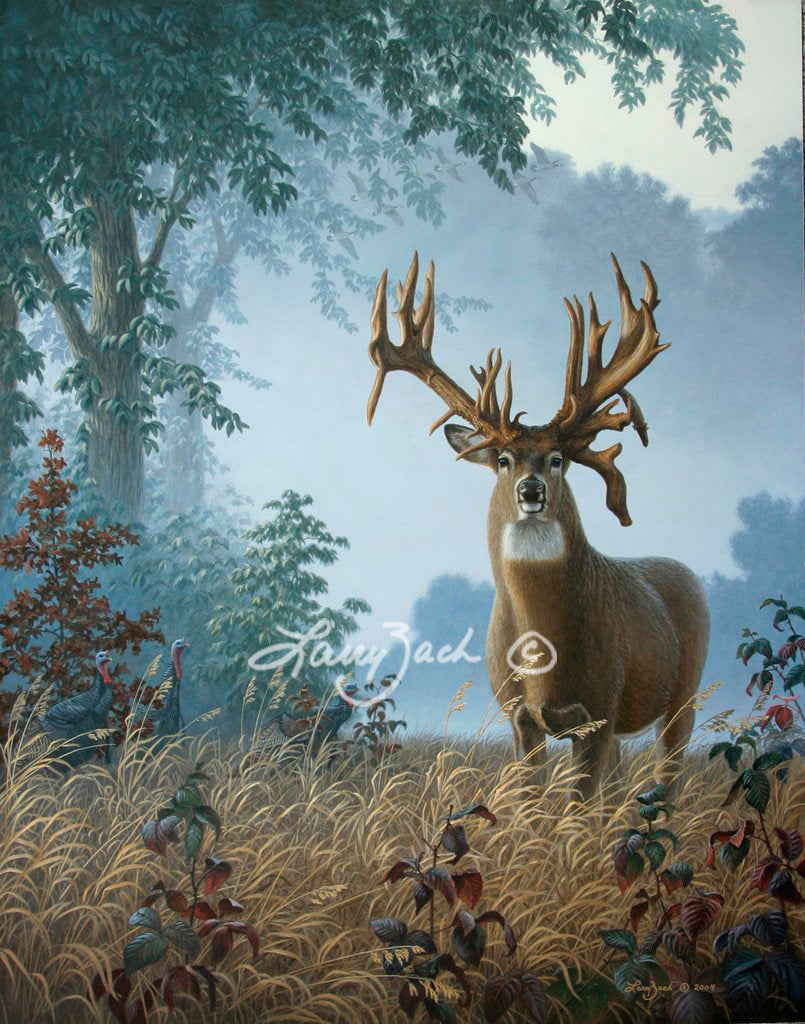 Foggy Morning Whitetail- The Lovstuen Buck