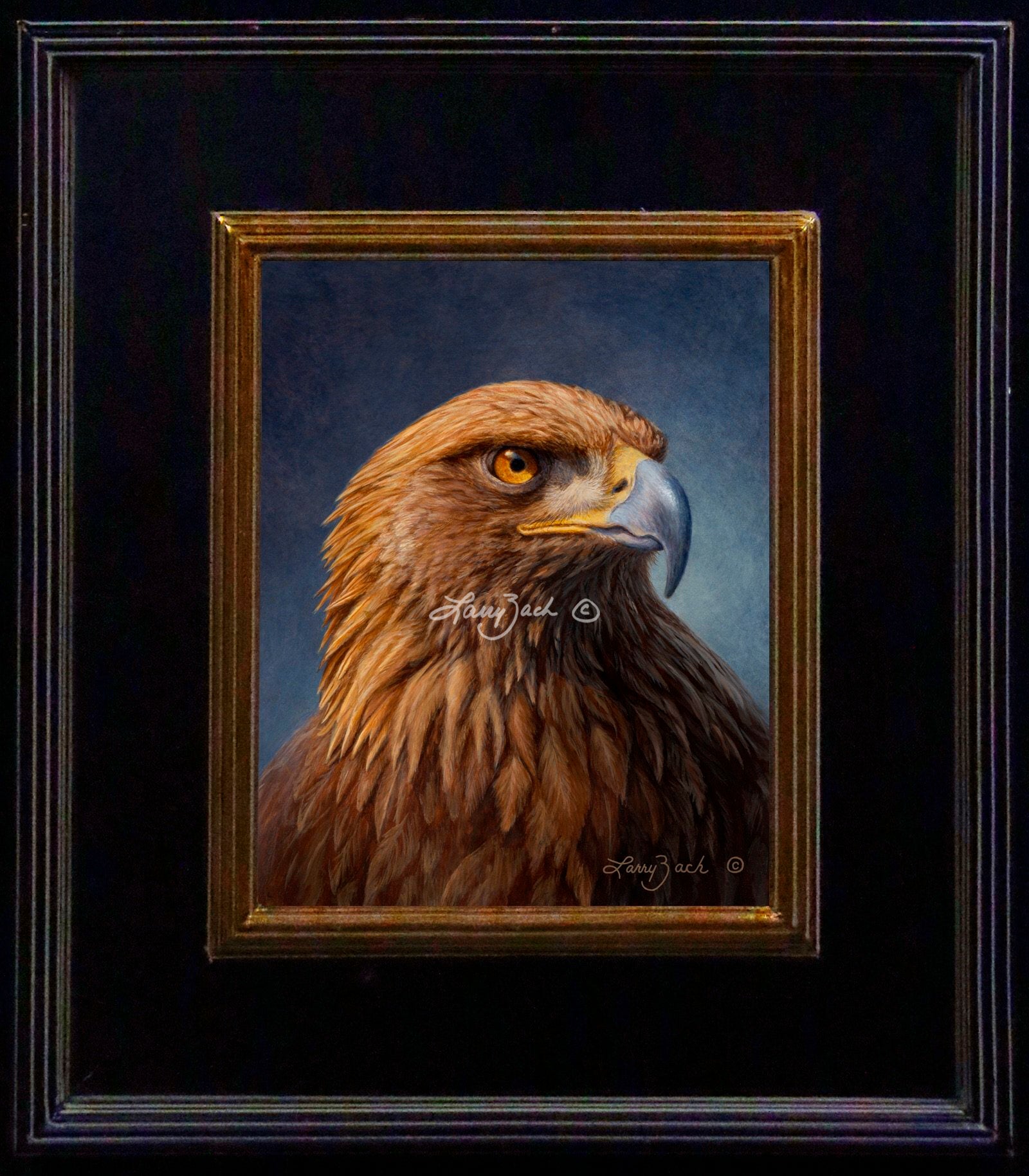 Golden Eagle Portrait – Larry Zach Wildlife Art