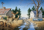 Old Rivals III (Clarken buck used in this painting)
