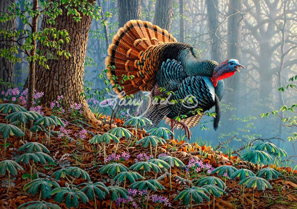 Oak Ridge Monarch-Wild Turkey