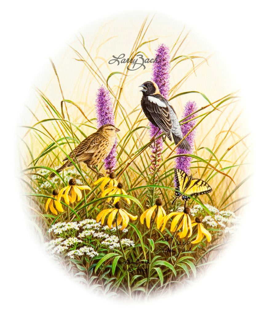 Prairie Pair-Bobolinks