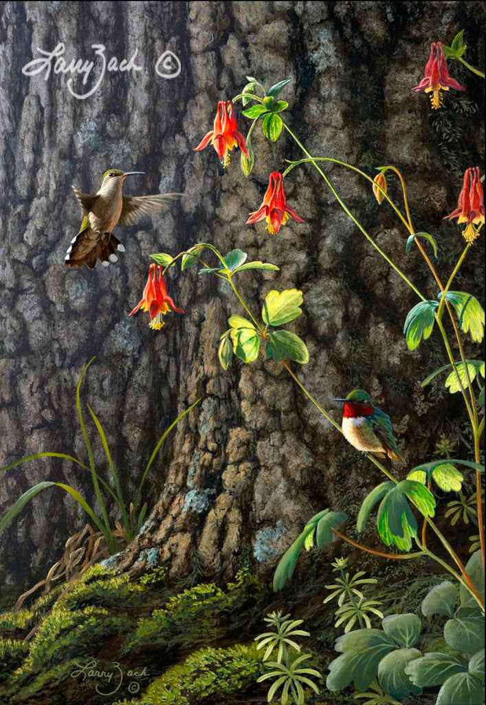 Ruby-Throats and Columbine