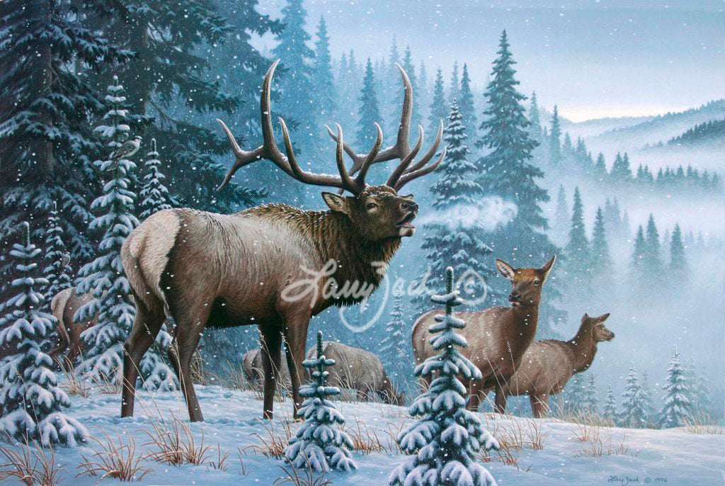 Storm's End – Rocky Mountain Elk