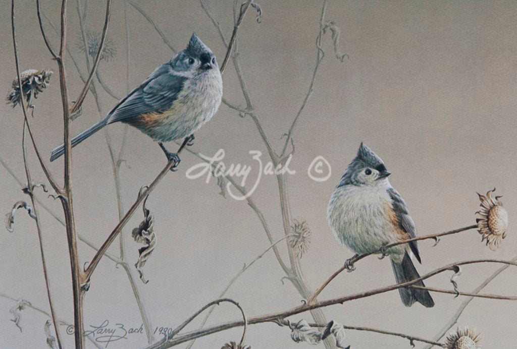 Titmouse Pair