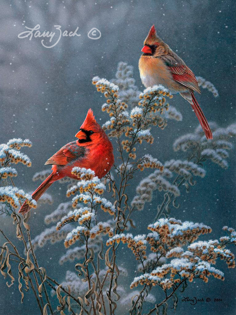 Winter Cardinals on Goldenrod