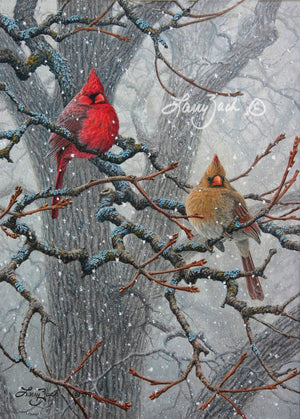 Winter Pair Cardinal