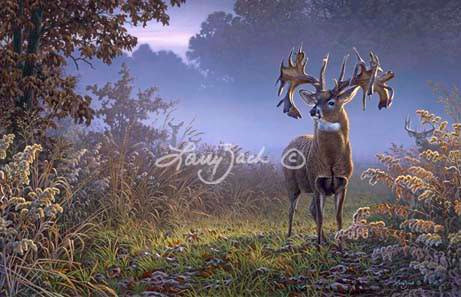 Dream Bucks I-The Hole in the Horn Buck