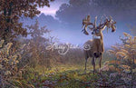 Dream Bucks I-The Hole in the Horn Buck