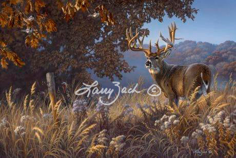 Dream Bucks II-The Missing Trophy